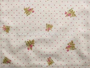 Edinburgh Weavers ZOE CHINTZ