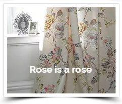 Rose is a rose