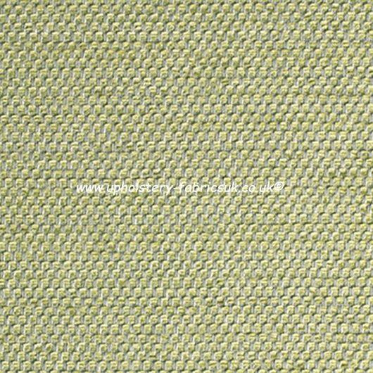 Sunbury Design Kiko Marrow 9808