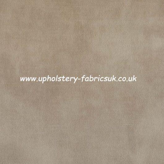 Warwick Fabric lovely CHAMPAGNE