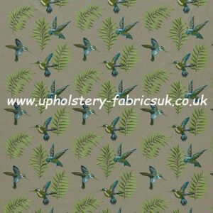 iLiv Rainforest collection, Monserrat, lagoon