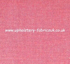 J Brown Coastal 189 Raspberry