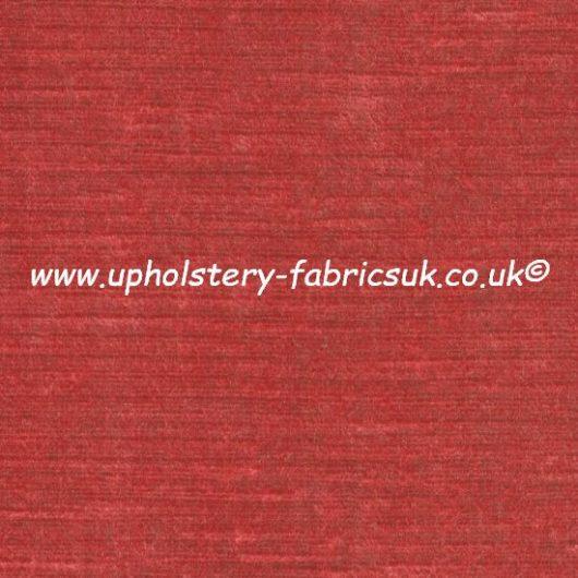 J Brown Enzo 15397 Coral
