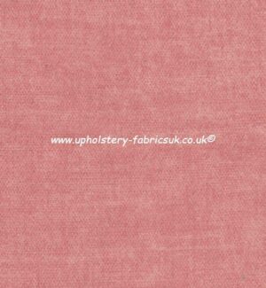 Cristina Marrone Destino DES 3059 ROSE