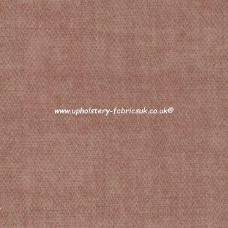 J Brown Tuscany 02 Blush