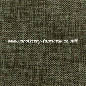 ILIV Compass olive
