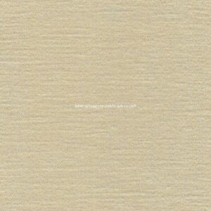 J Brown Cayman 165 Champagne