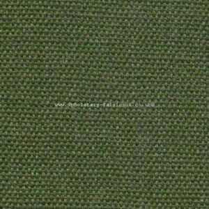 J Brown Paolo 365 Forest Green