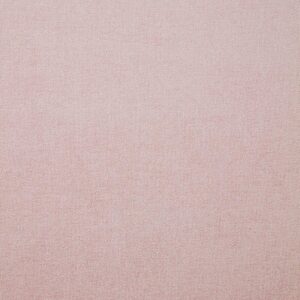 Iliv Seelay Blush