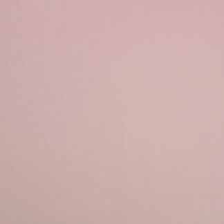 Cristina Marrone Cambio CAM 1741