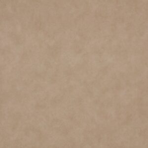 Warwick Fabric Cuero Marble