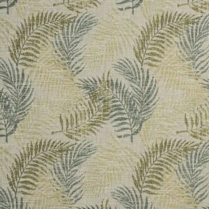 Panaz Casseri Kirana 211 spruce