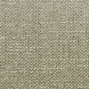 Panaz Lismore Fennel