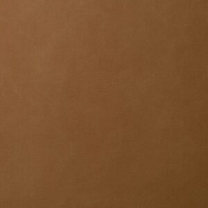 Panaz Morgan Pro 801 Tan