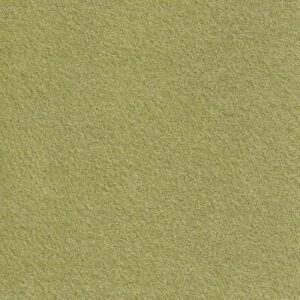 Cristina Marrone Capri 4462 Parrot