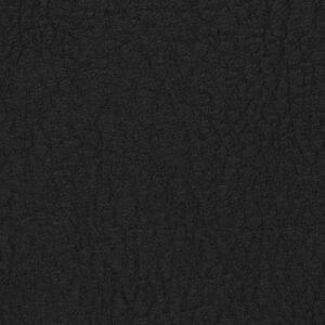 Spradling Valencia Biosense Graphite Ves 4003